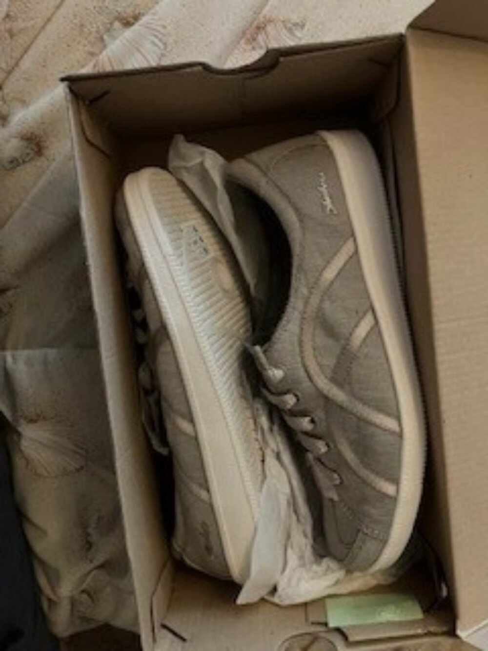 Sketchers Shoes